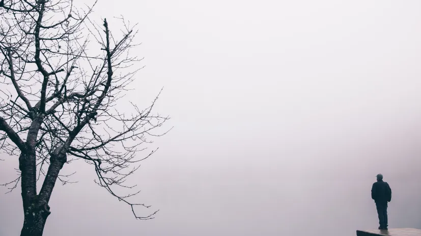 Fot. Adobe Stock